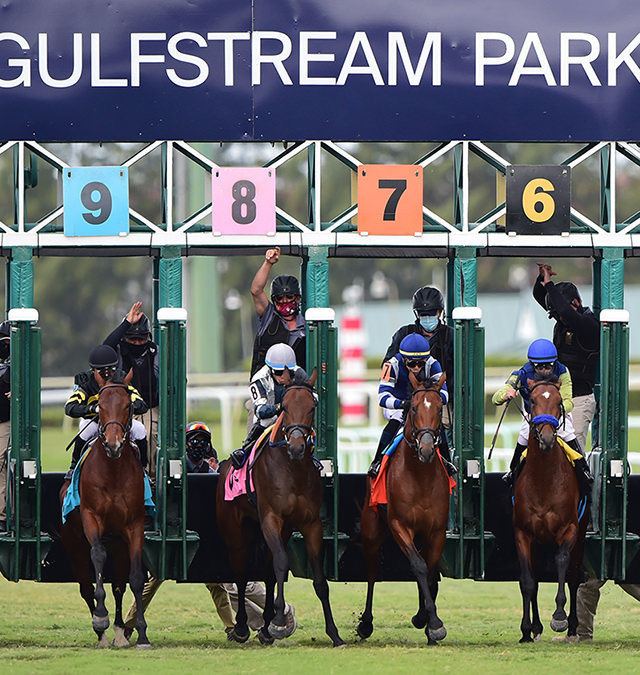 pegasus-world-cup-logo