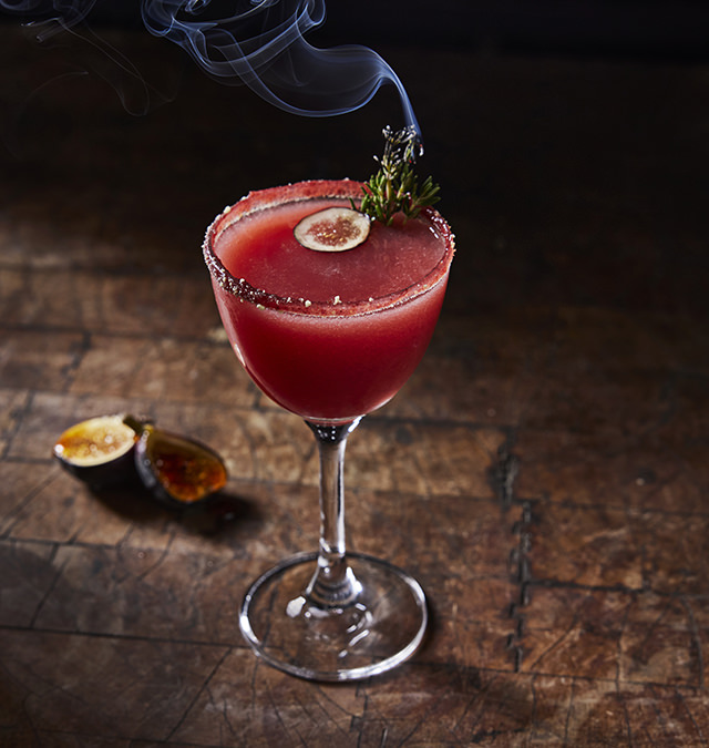 stubborn-seed-miami-logo